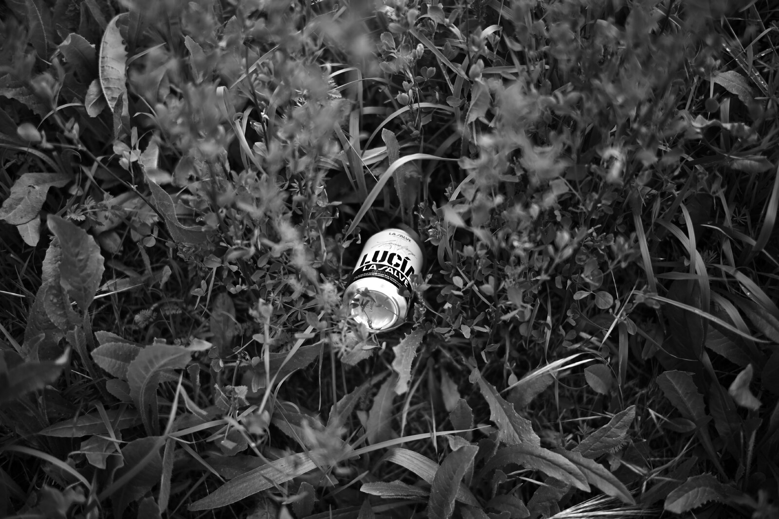DSC_2302.jpeg