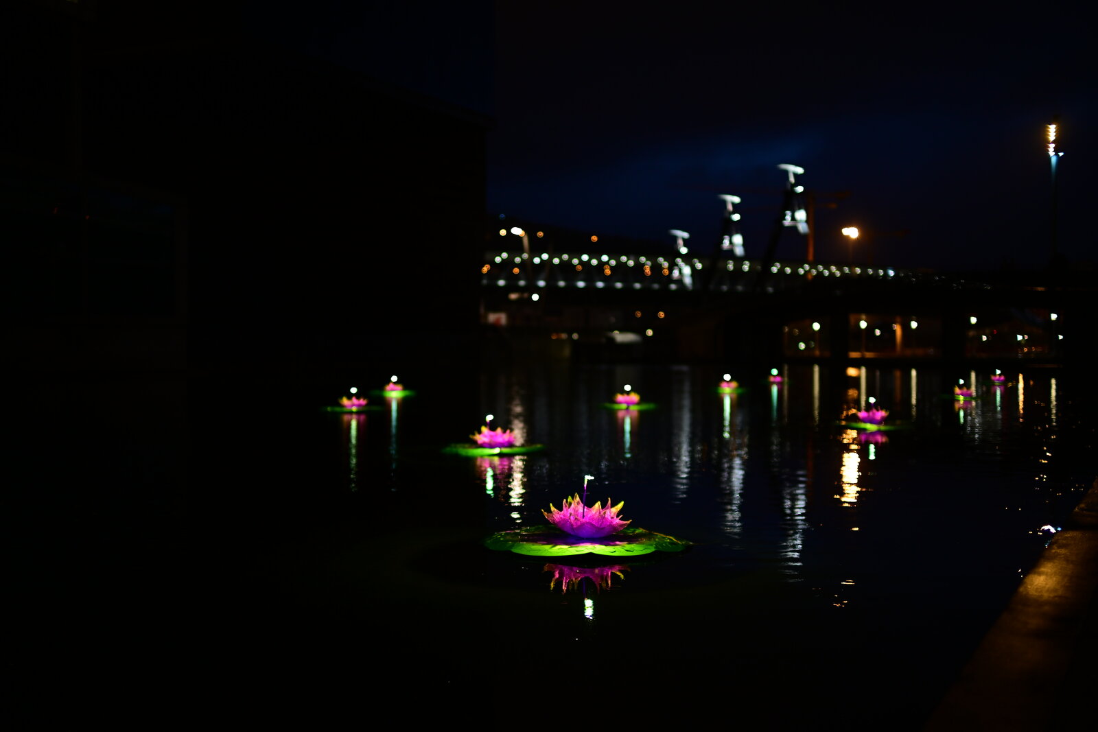 DSC_2706.JPG