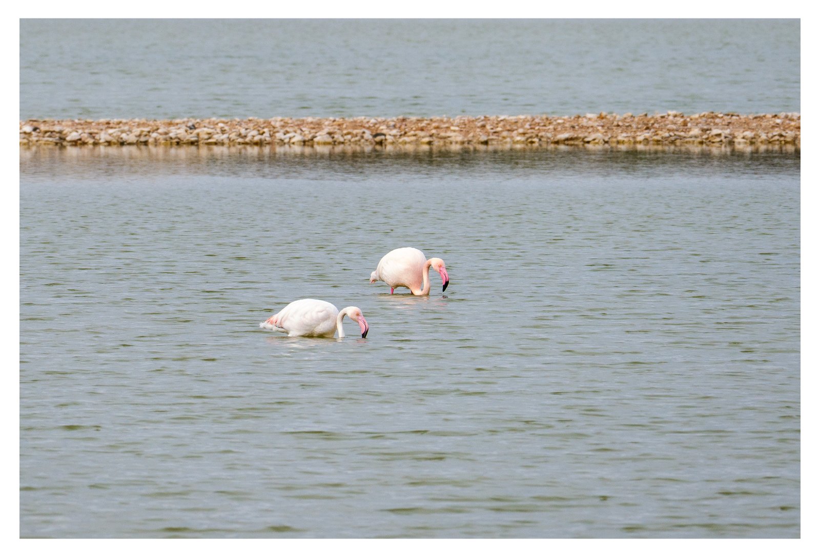 DSC_4000.jpg