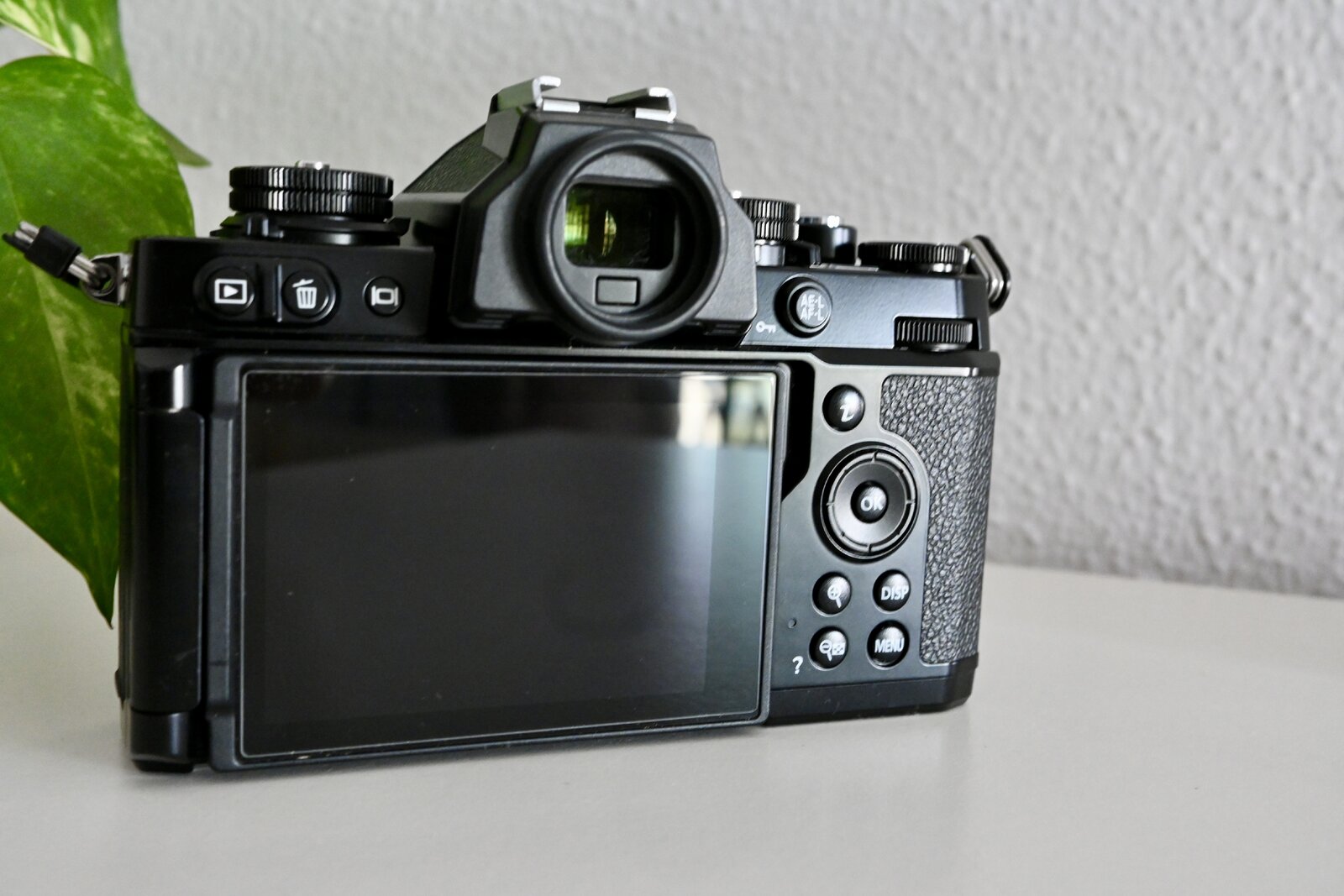 DSC_5124.jpeg