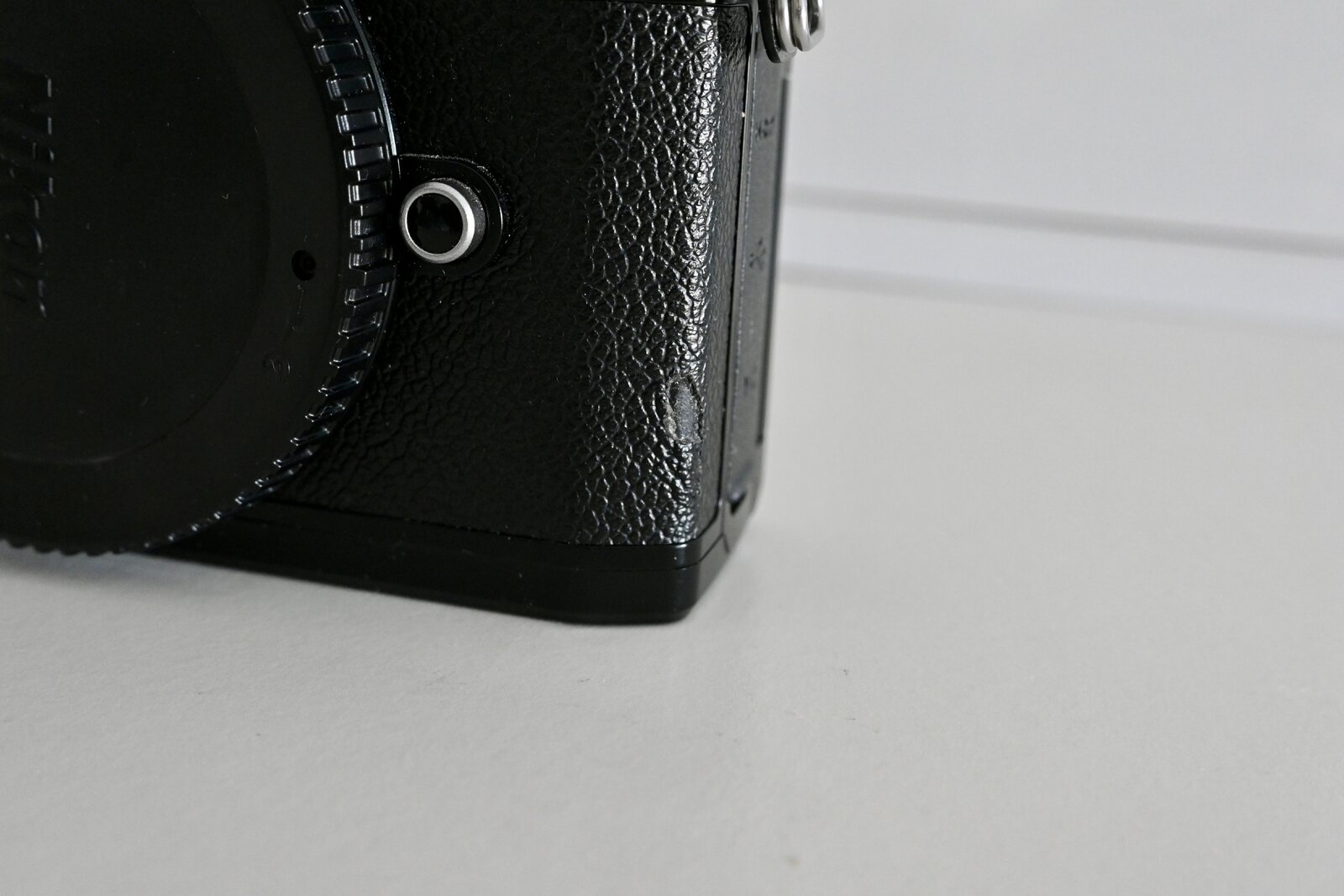 DSC_5137.jpeg