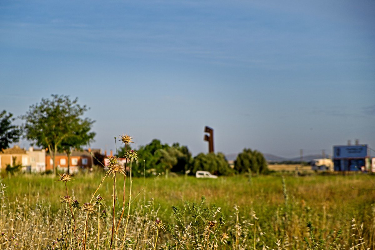 DSCF0004.jpg