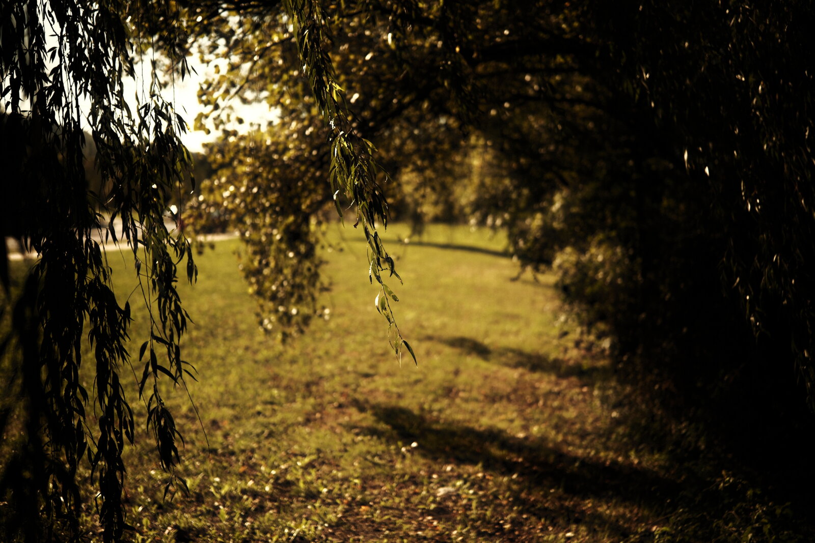 DSCF0017.JPG