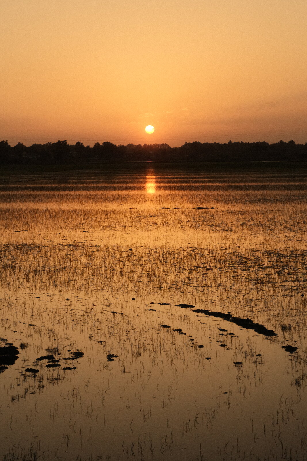 DSCF0019.JPG