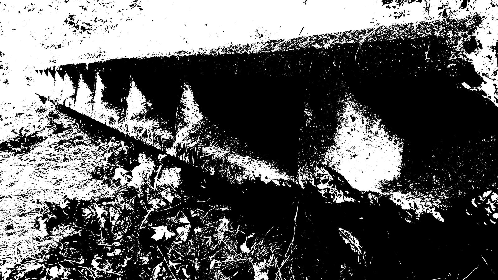 DSCF0029 E.jpg