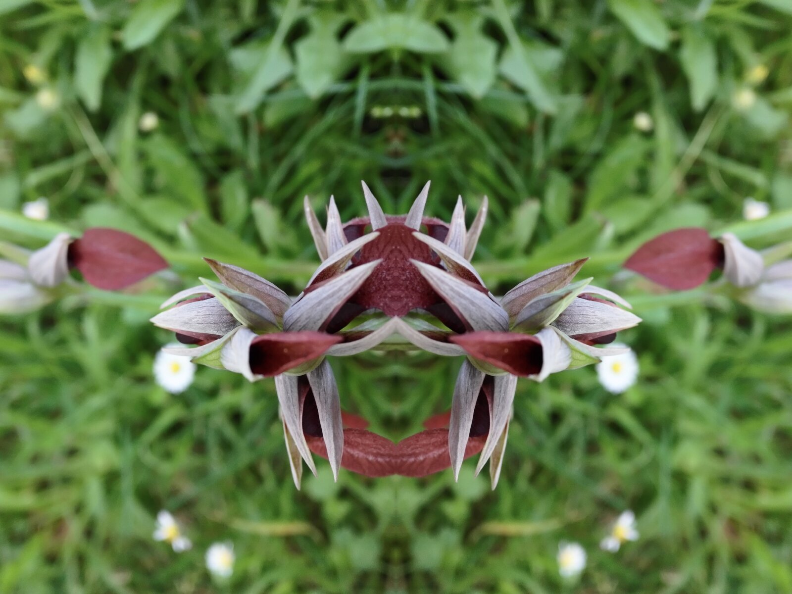 DSCF0084.jpeg