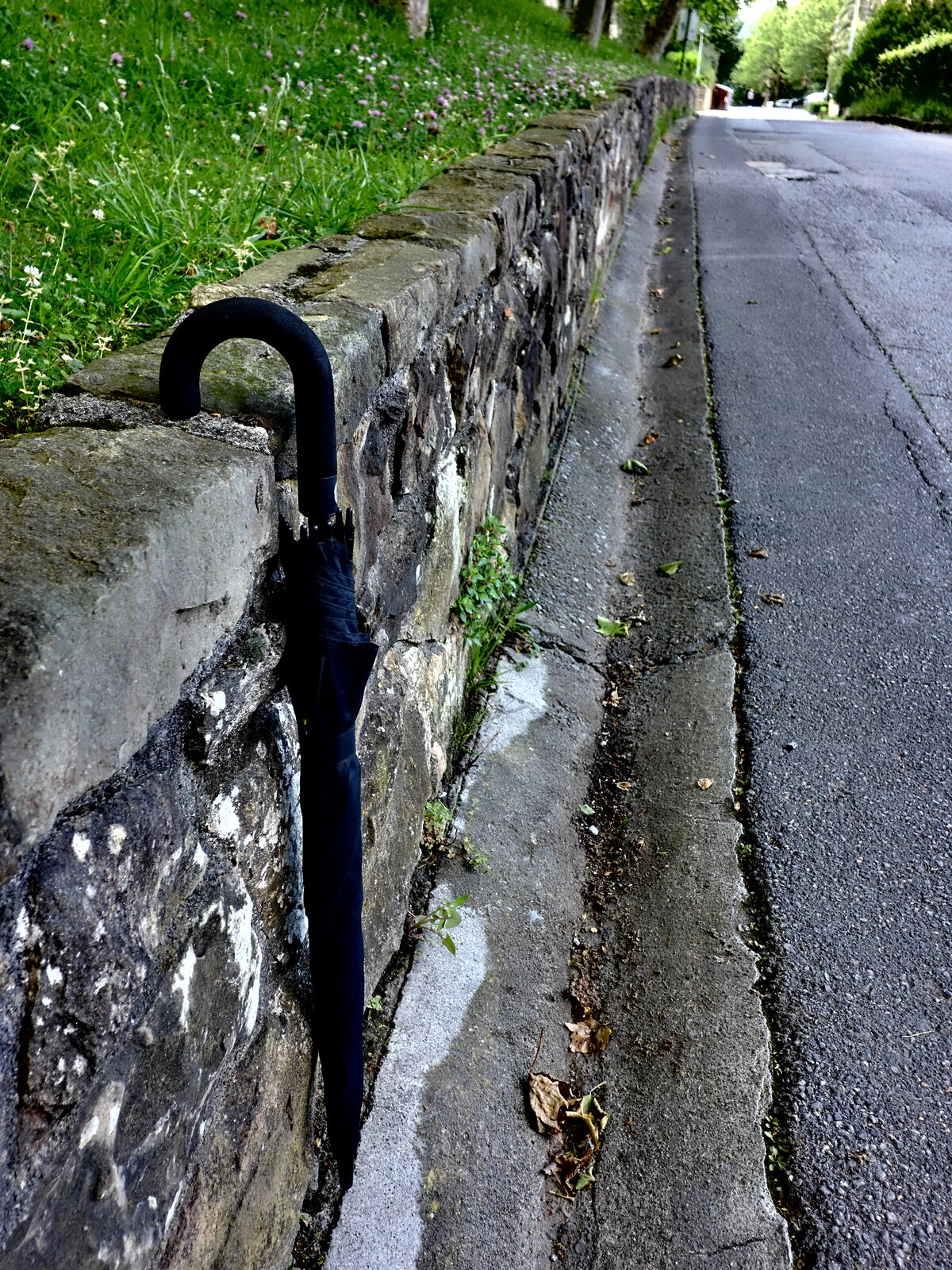 DSCF0087.JPG
