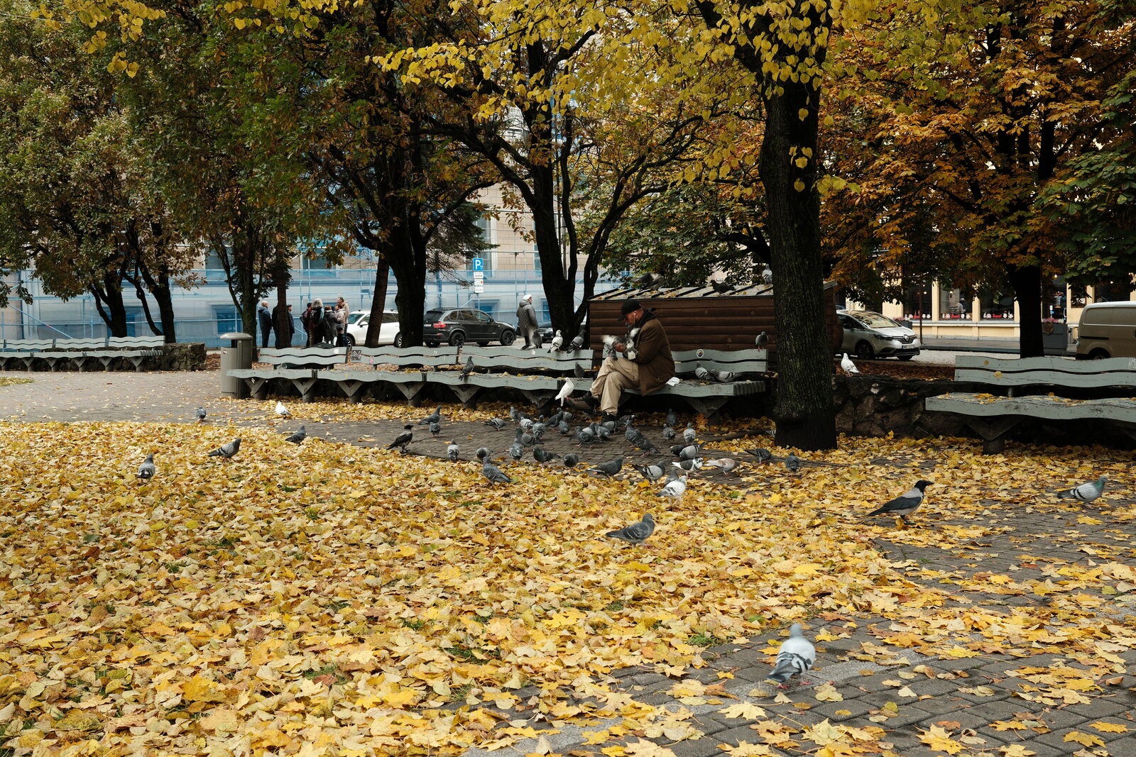 DSCF0091.JPG