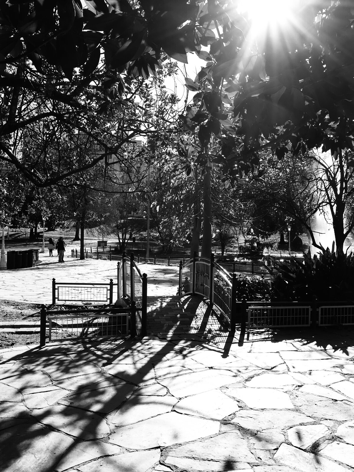 DSCF0100.jpg