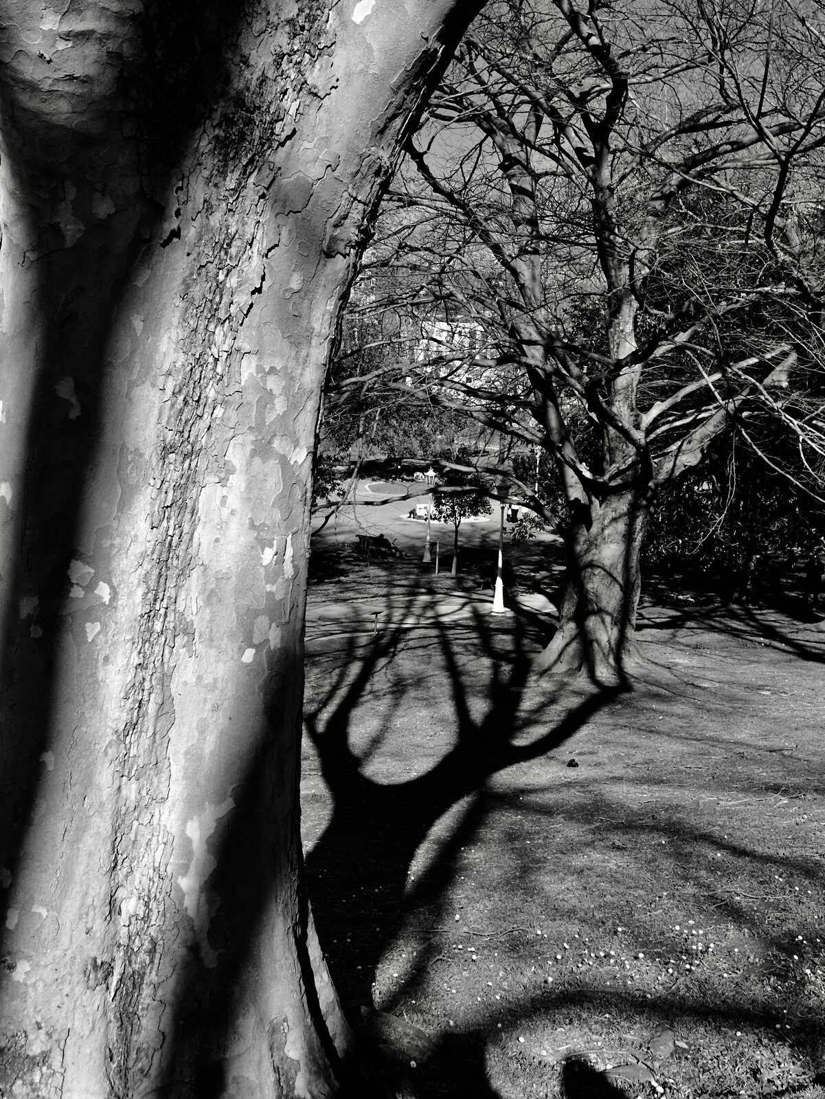 DSCF0108.jpg