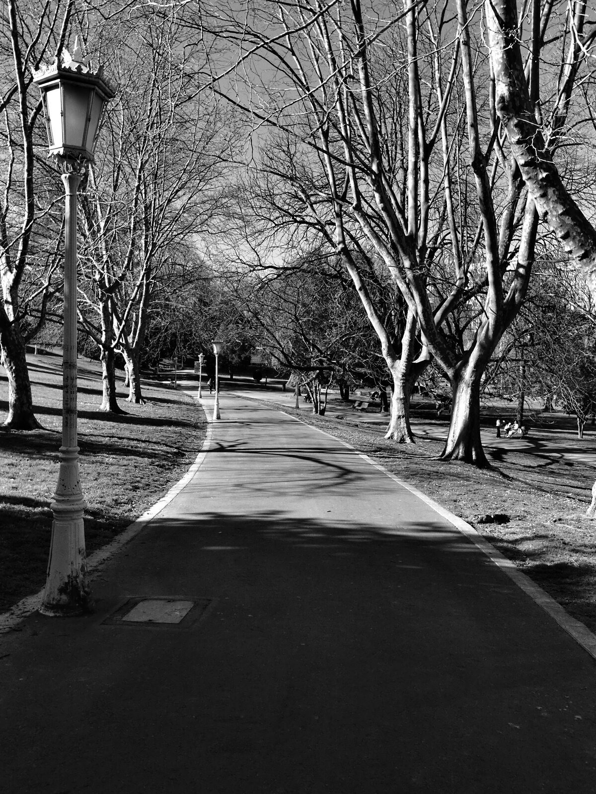 DSCF0110.jpg