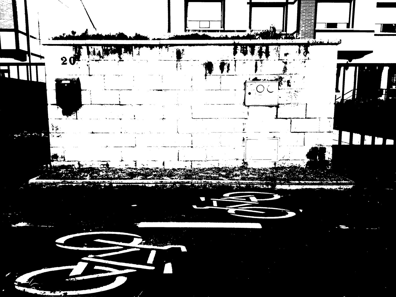 DSCF0113.JPG