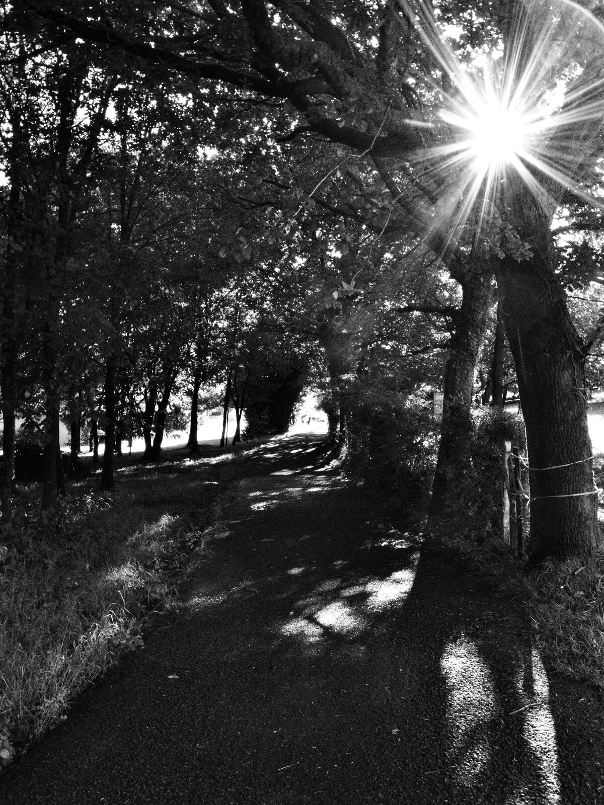 DSCF0120.jpeg