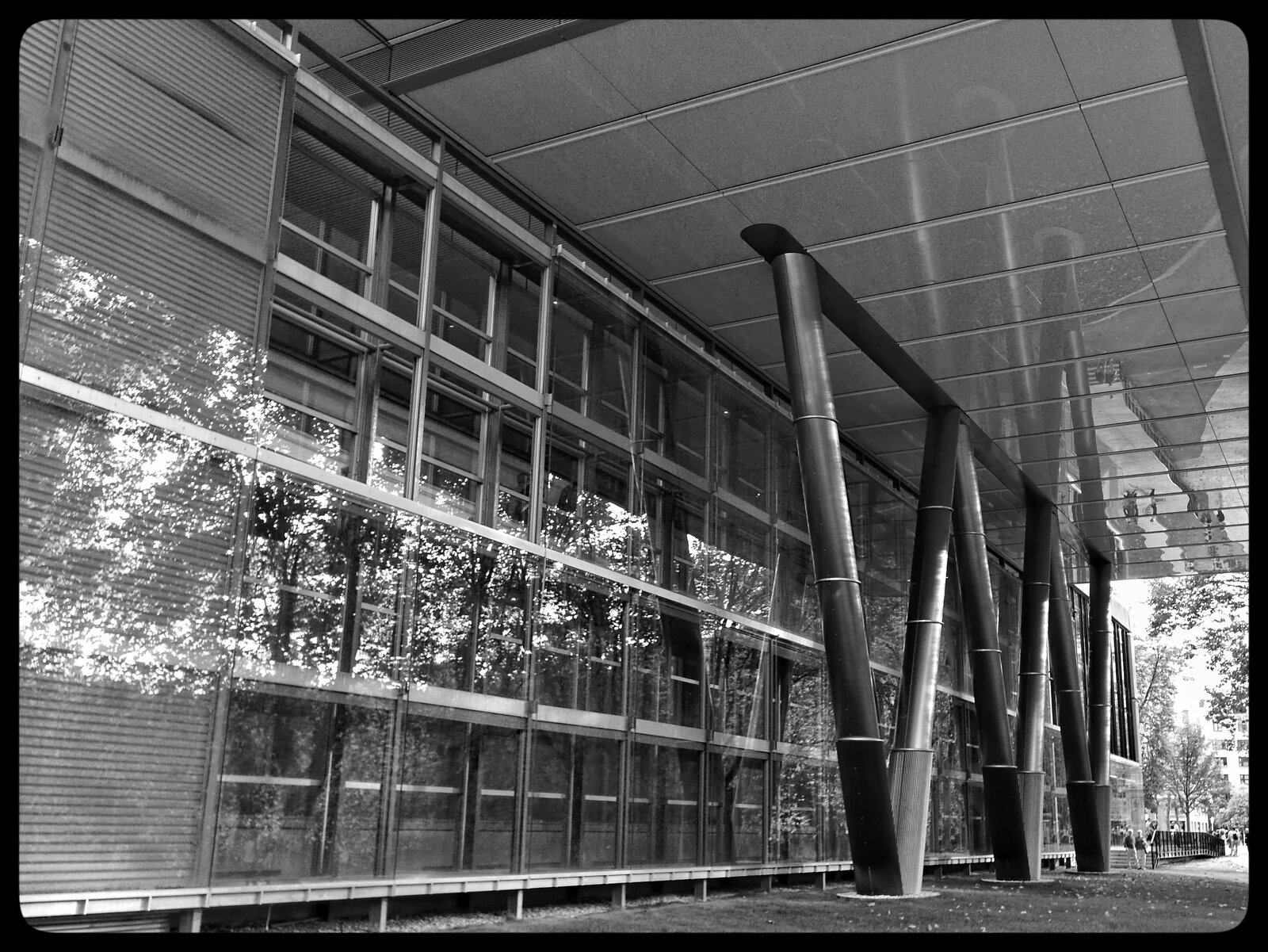 DSCF0137_SnapseedCopy.jpeg