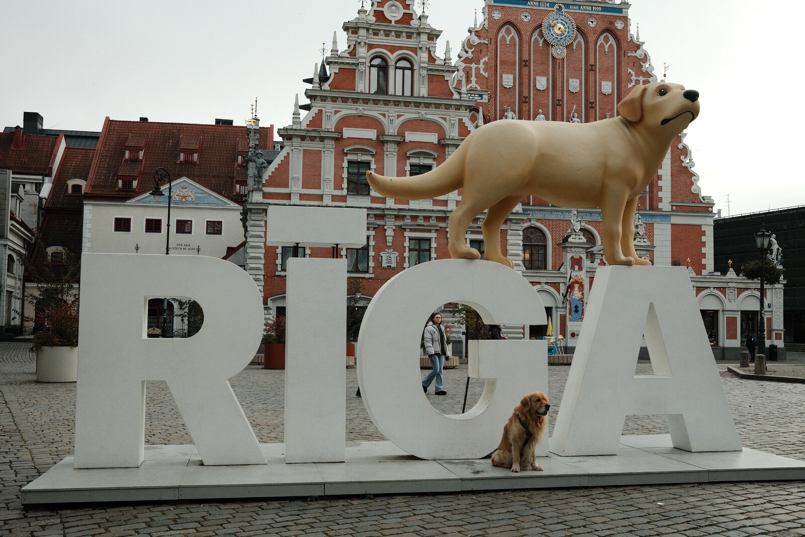 DSCF0157.JPG