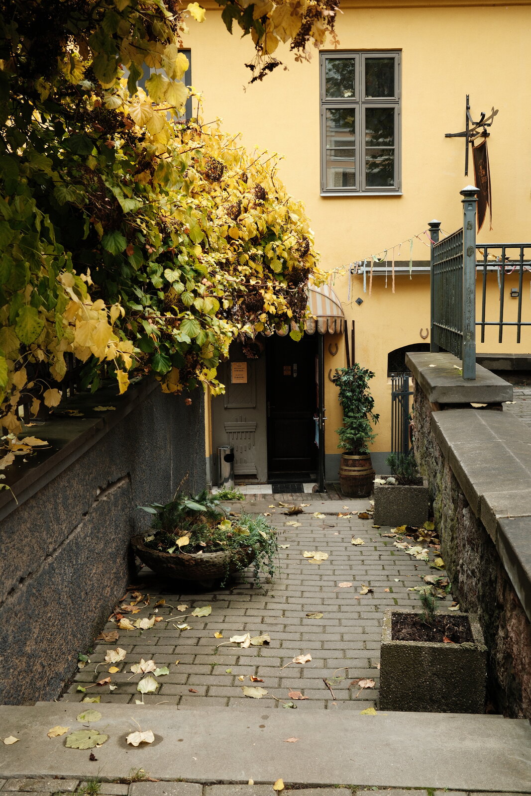 DSCF0258.JPG