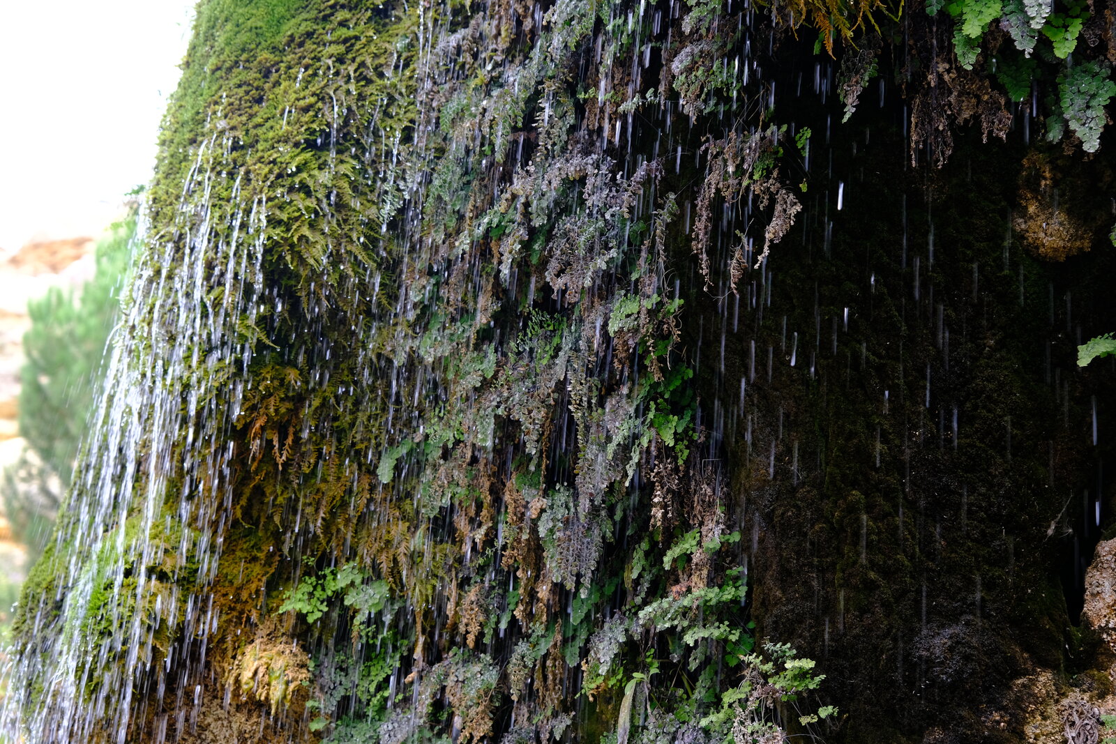 DSCF0309.JPG