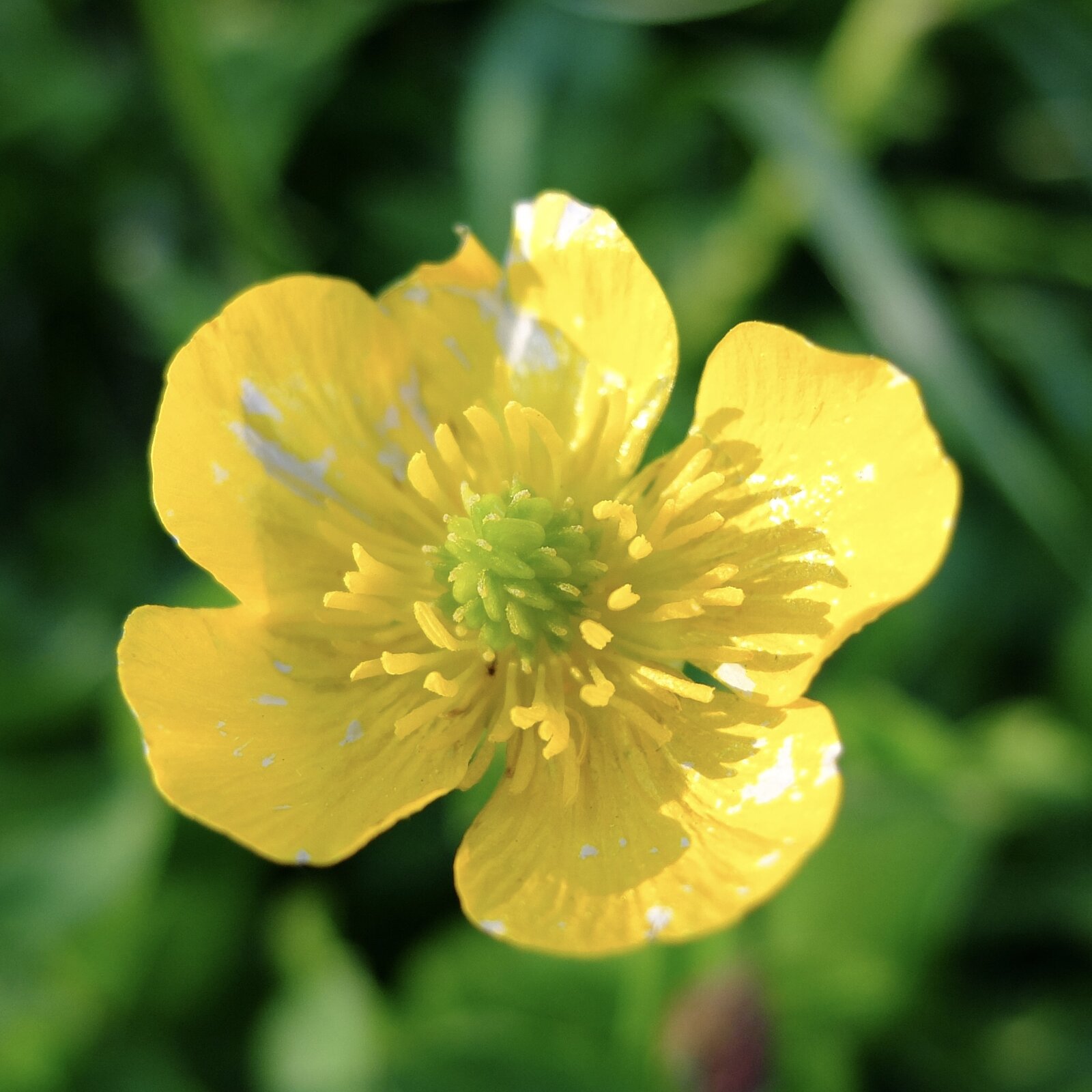DSCF0334.jpg
