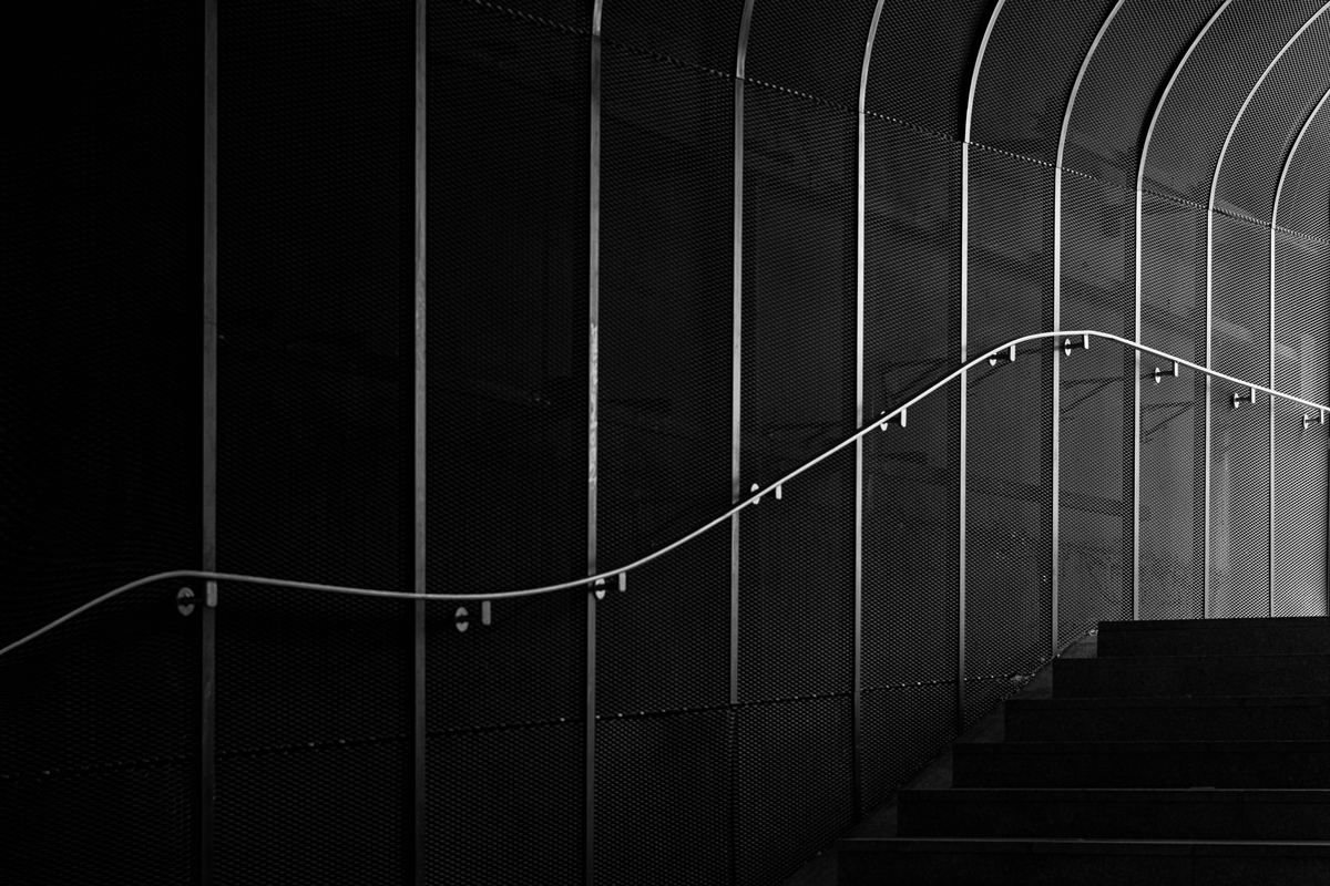 DSCF0495-FORO.jpg