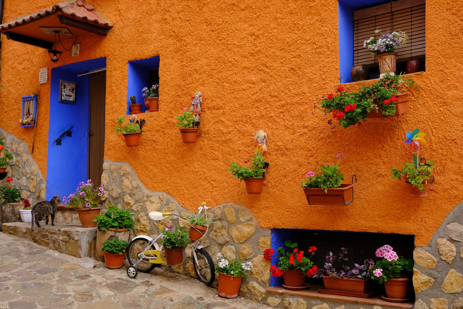 DSCF0603.JPG