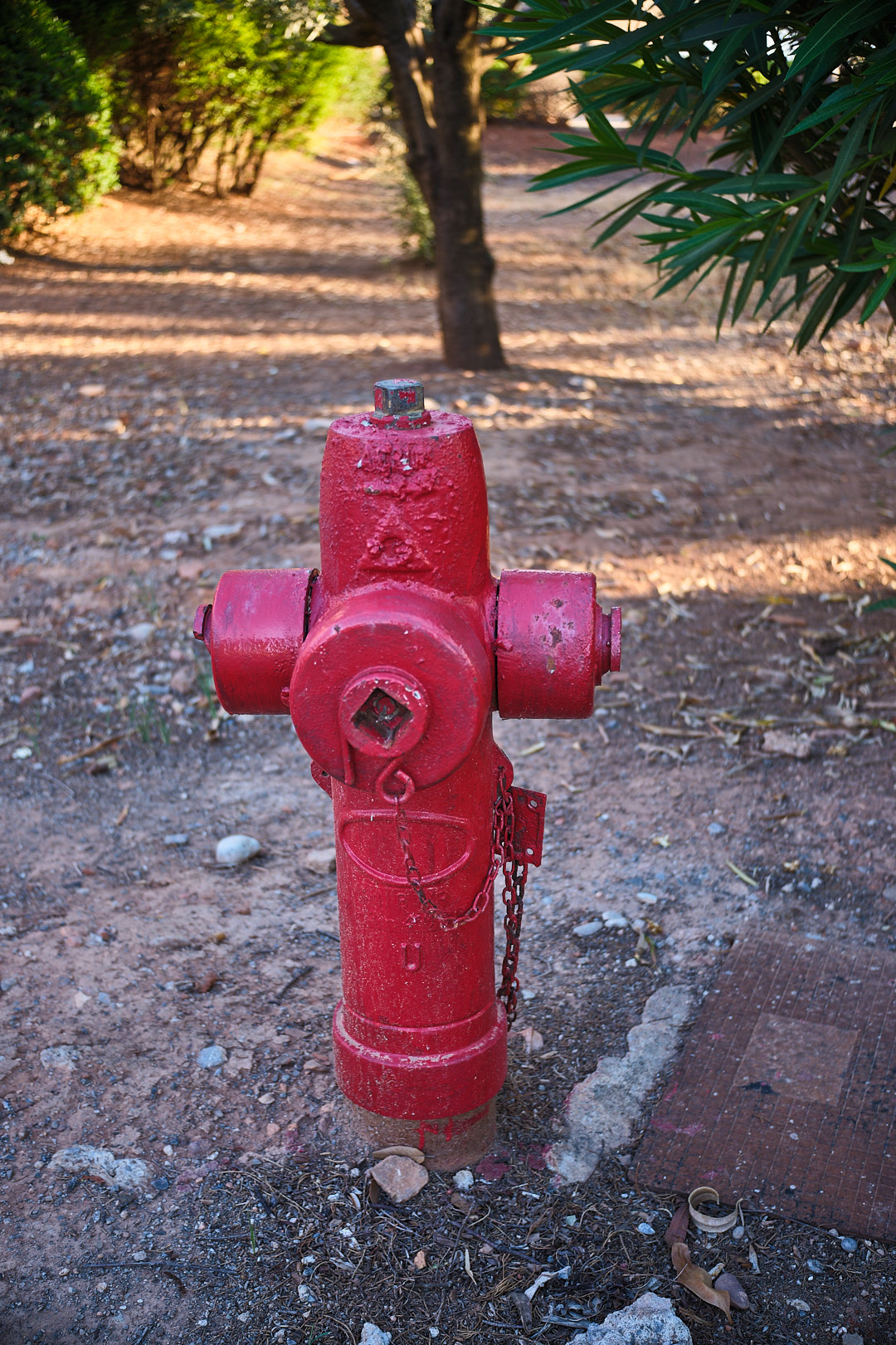 DSCF0622 2.jpg