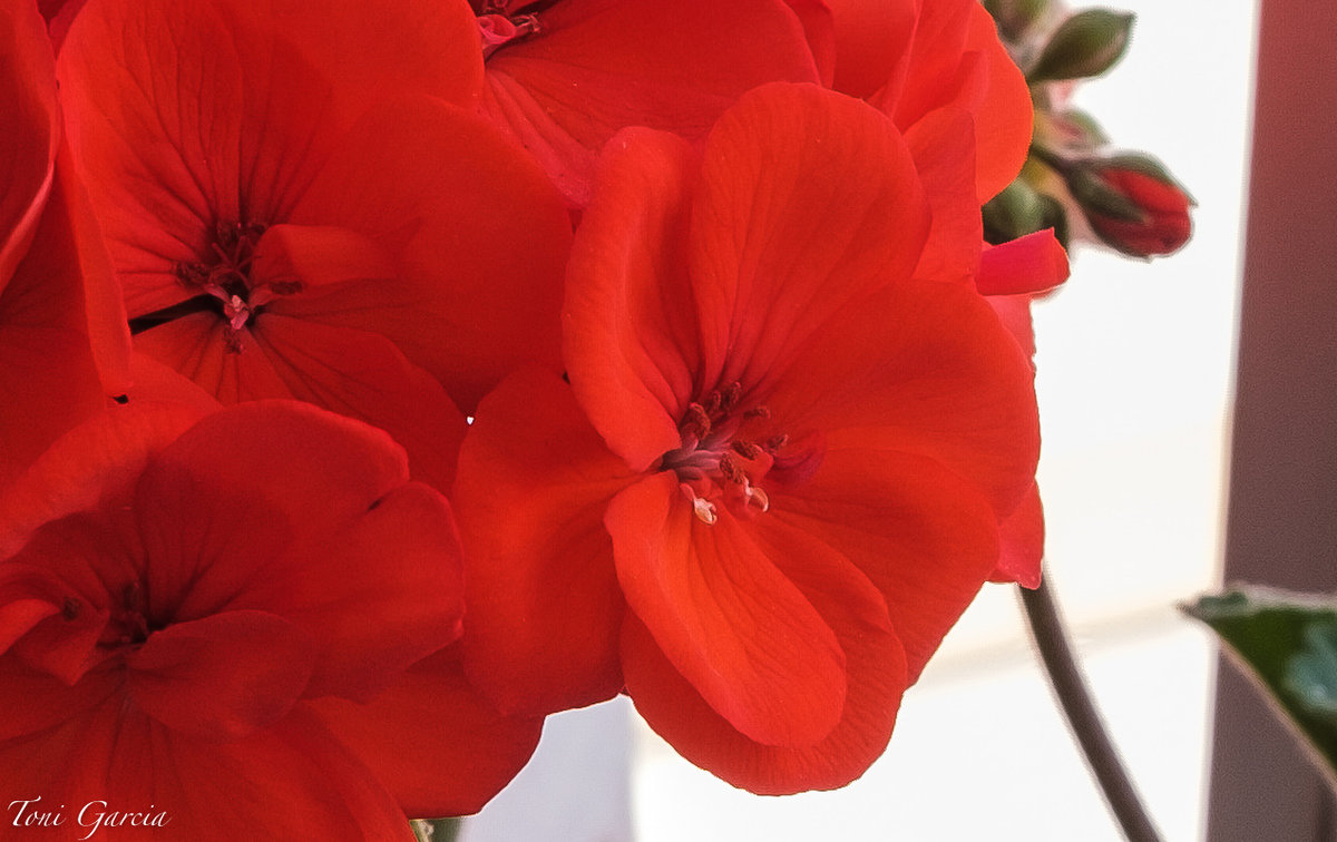 DSCF0624.jpg