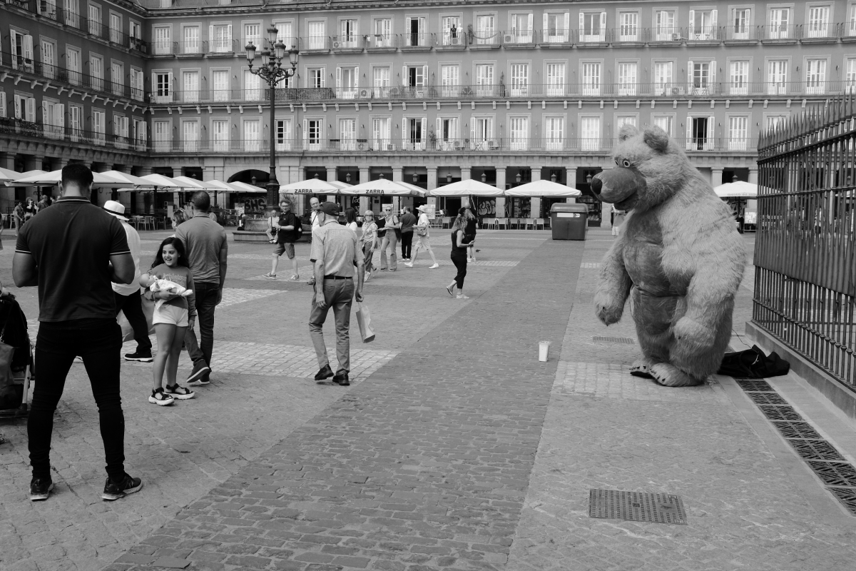 DSCF0689.jpg