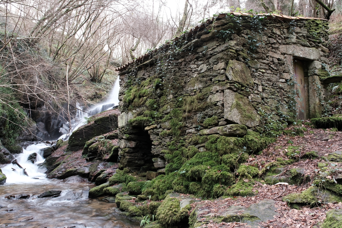 DSCF0790.JPG