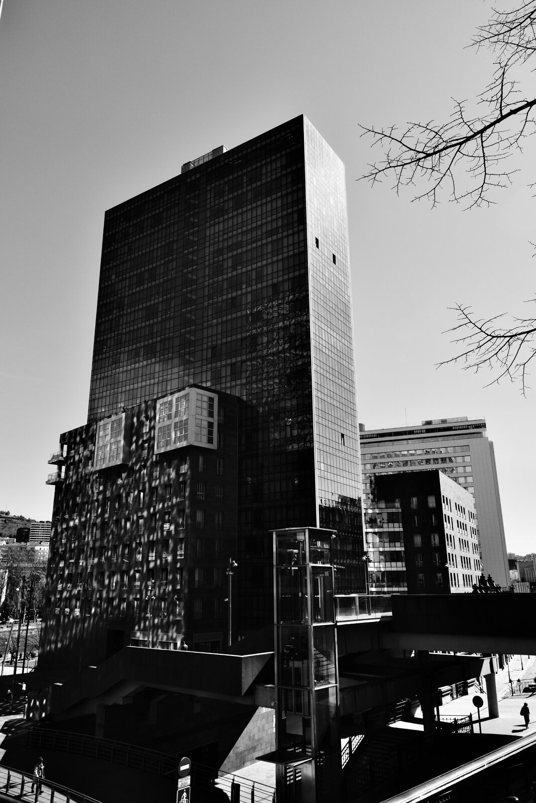 DSCF1002.jpg