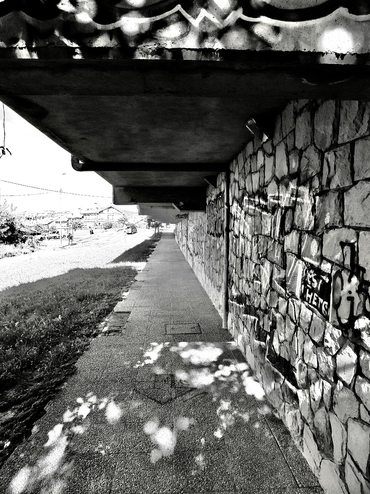 DSCF1337.jpg