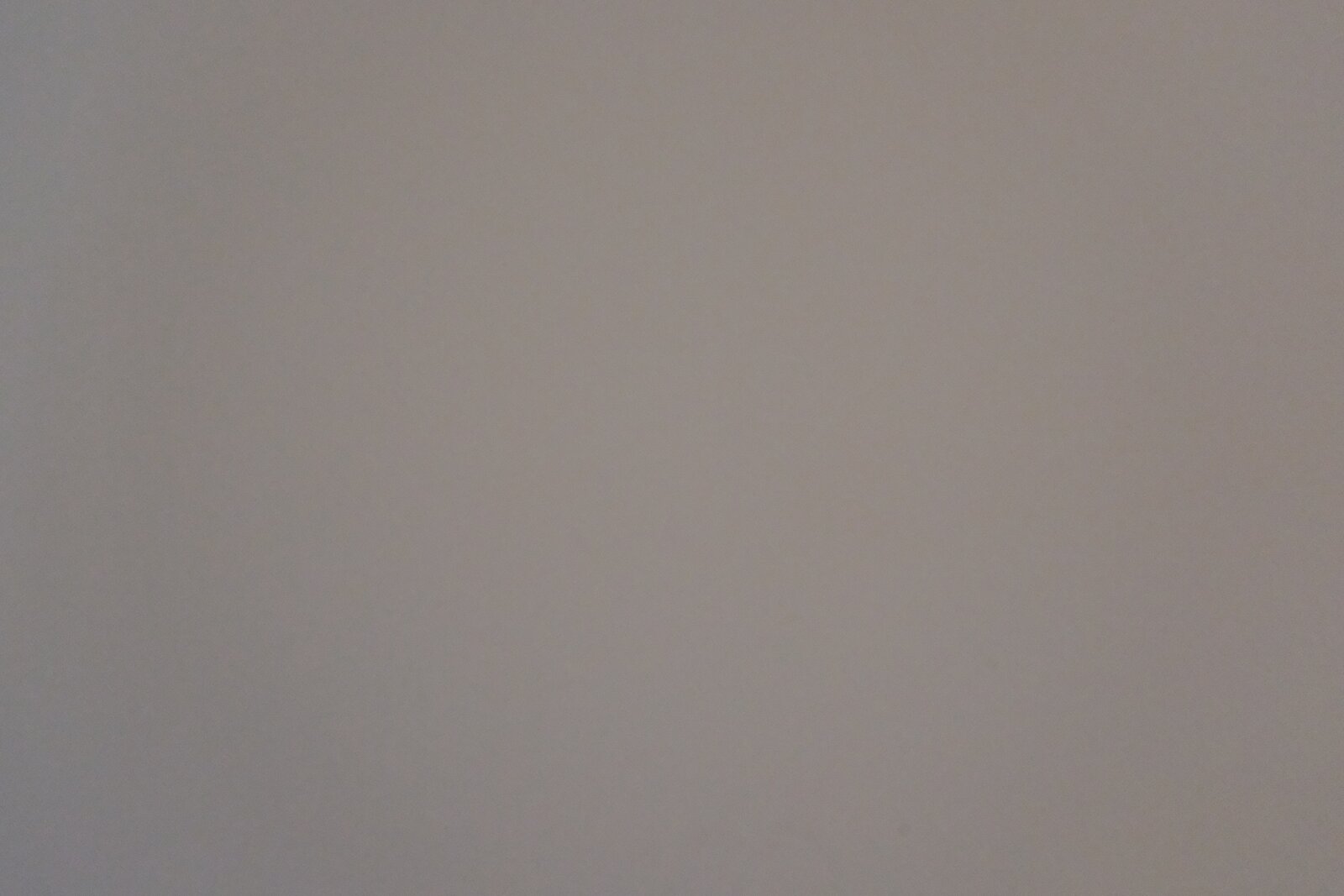 DSCF1395.JPG