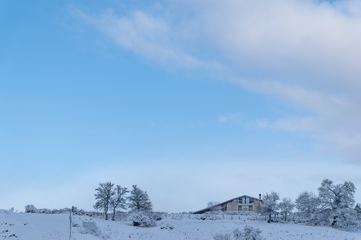 DSCF1430-RAF_DxO_DeepPRIME.jpg