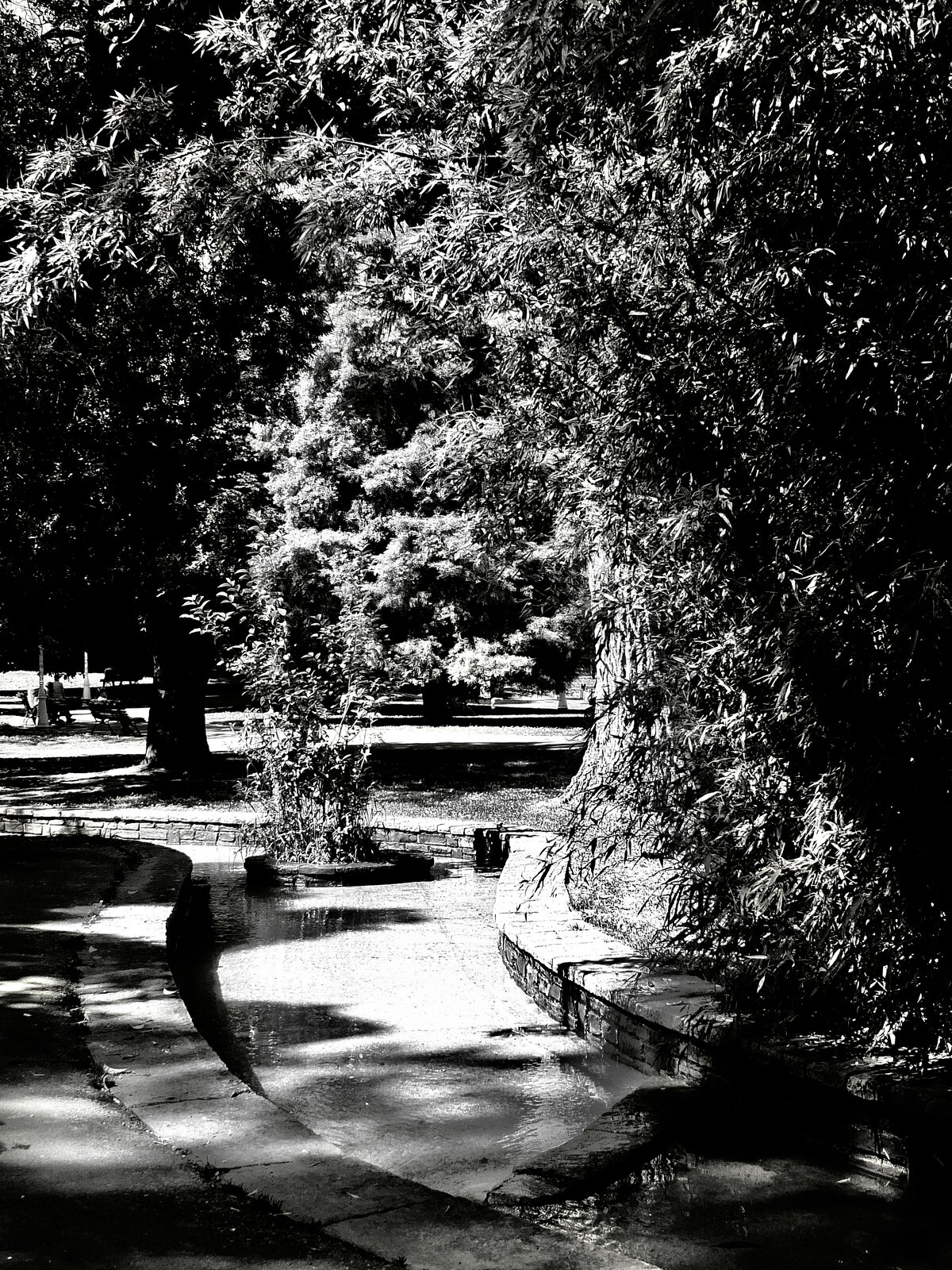 DSCF1463.jpg