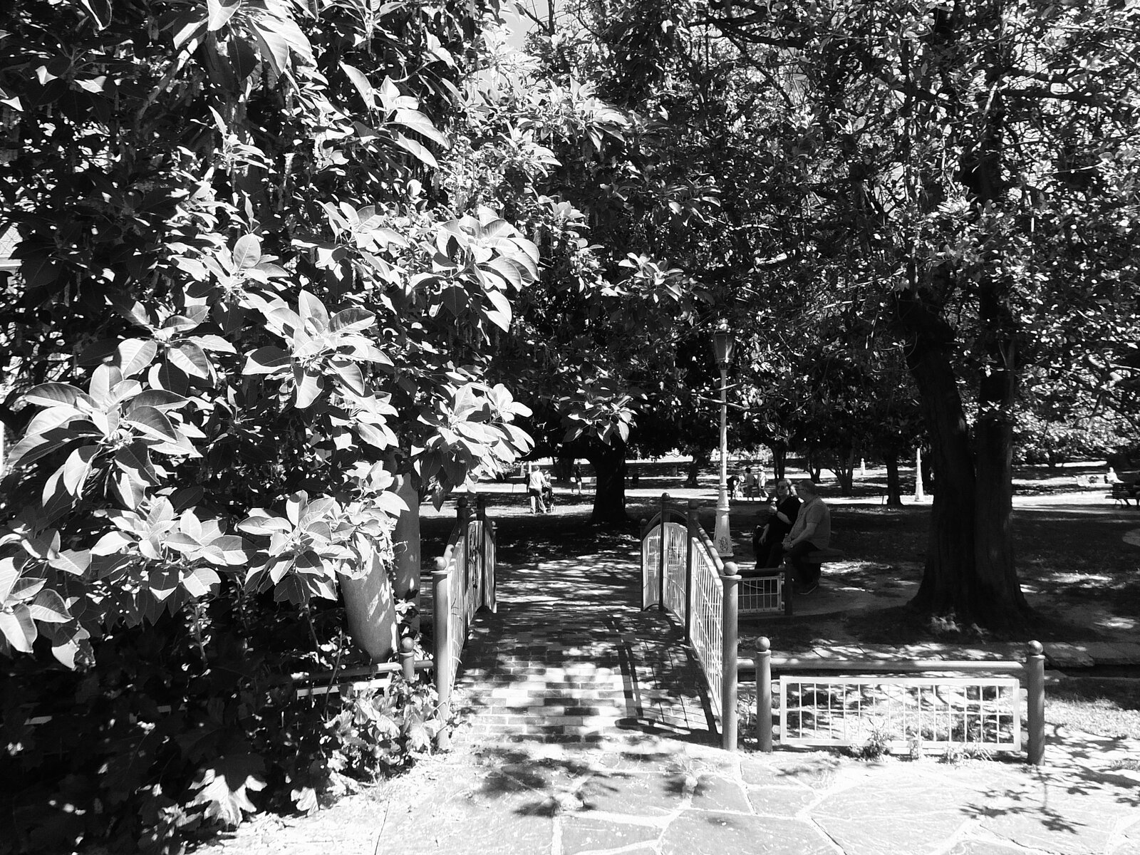 DSCF1468.JPG