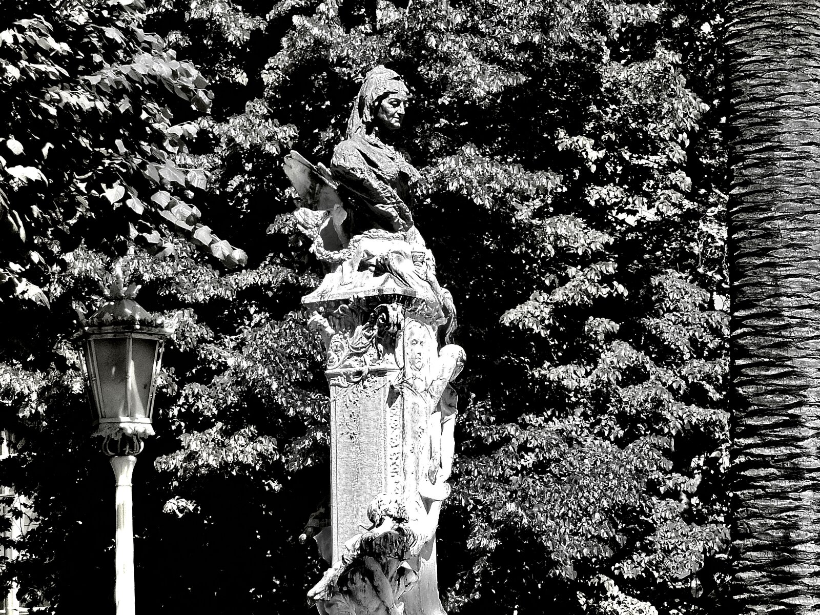 DSCF1485.jpg