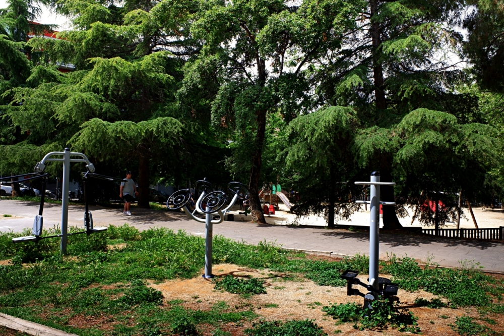 DSCF1528.JPG