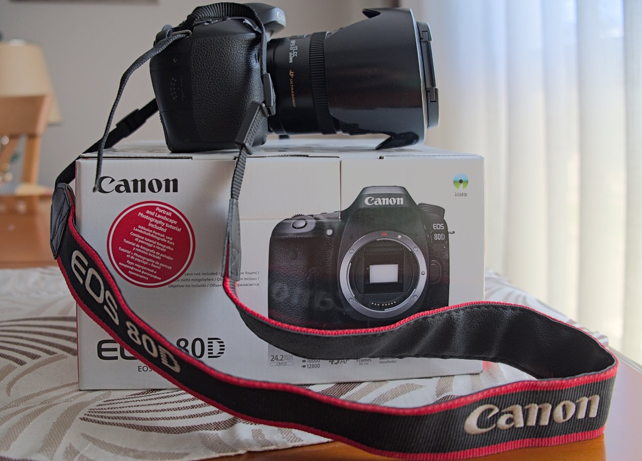 DSCF1537.jpg