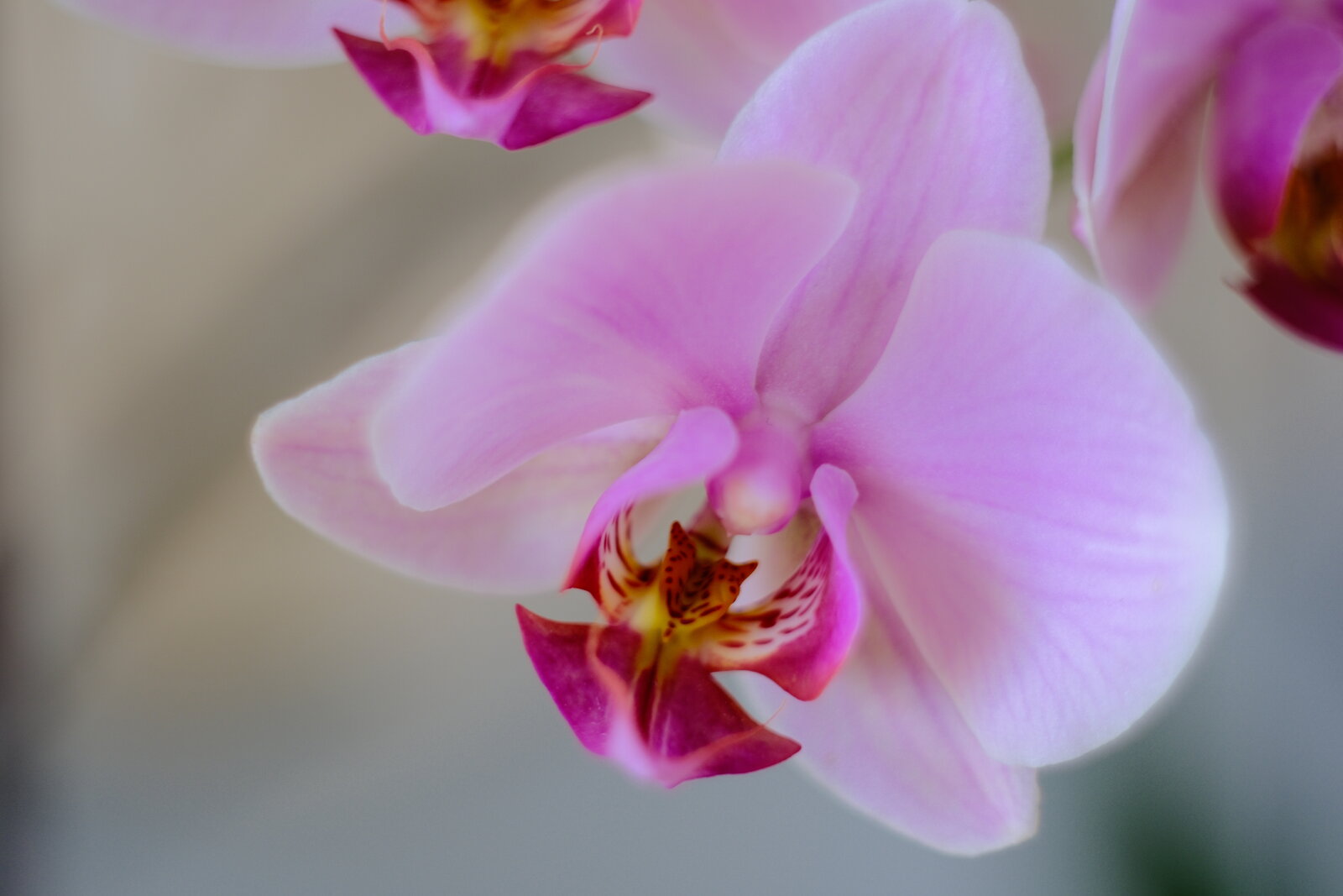 DSCF1569.JPG