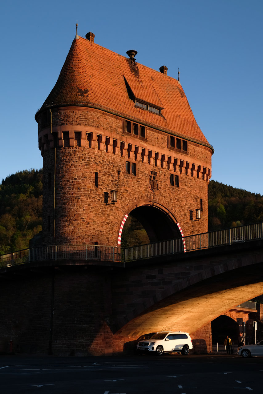 DSCF1577-1.jpg
