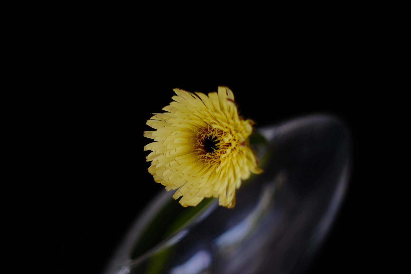 DSCF1578.JPG