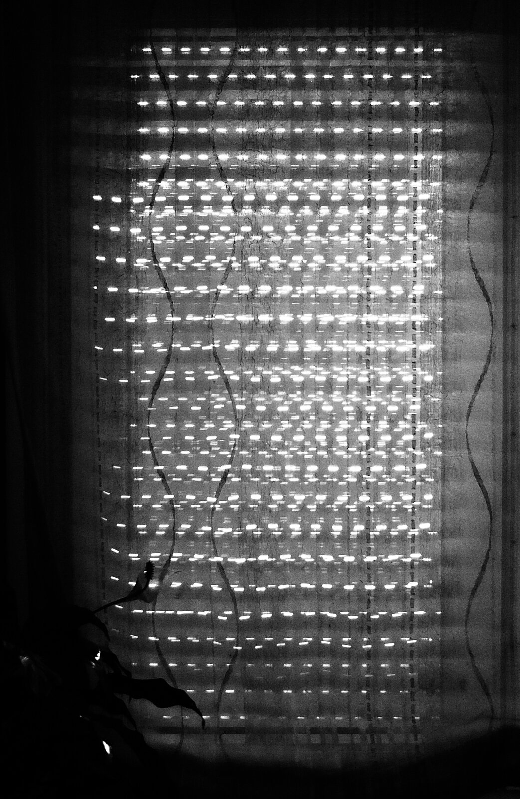 DSCF1639.jpg