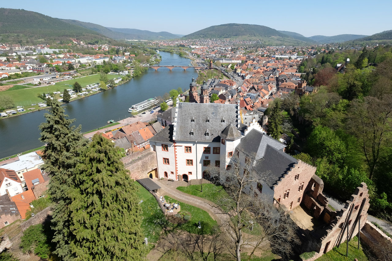 DSCF1766-1.jpg