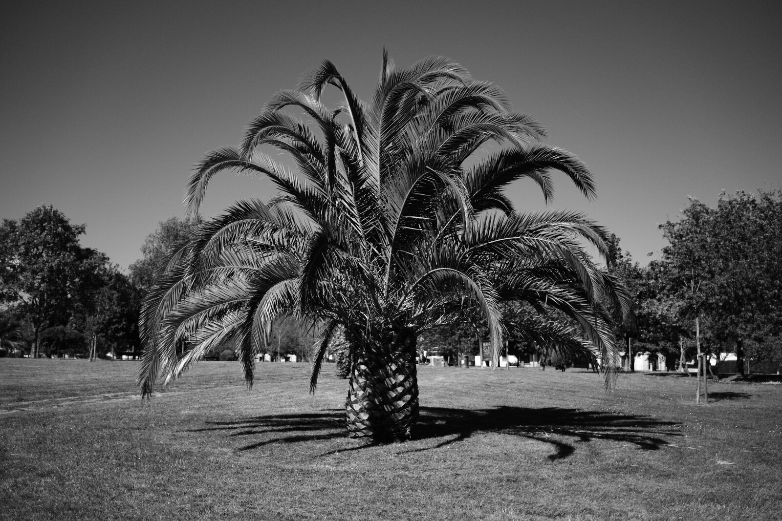 DSCF1773.jpg