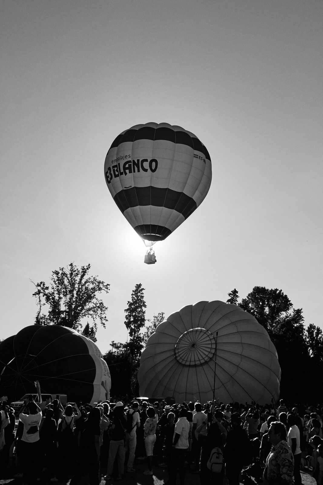 DSCF1784.jpg