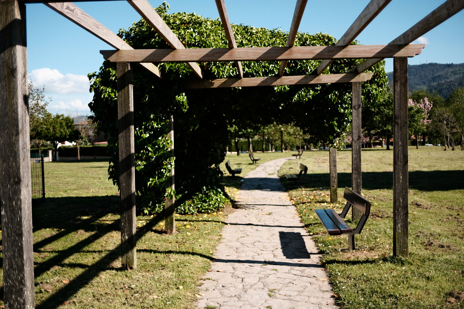 DSCF1791.JPG