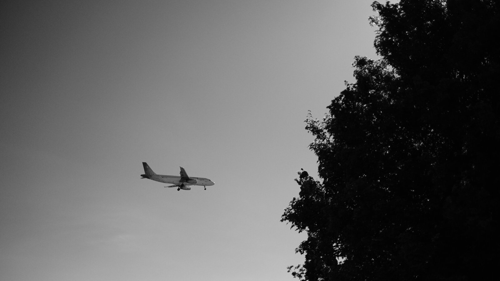 DSCF1795.jpg