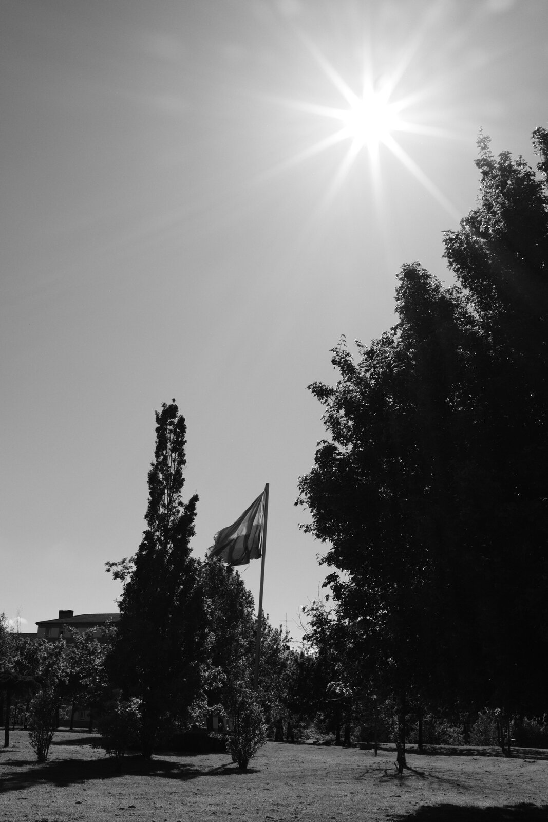 DSCF1797.JPG
