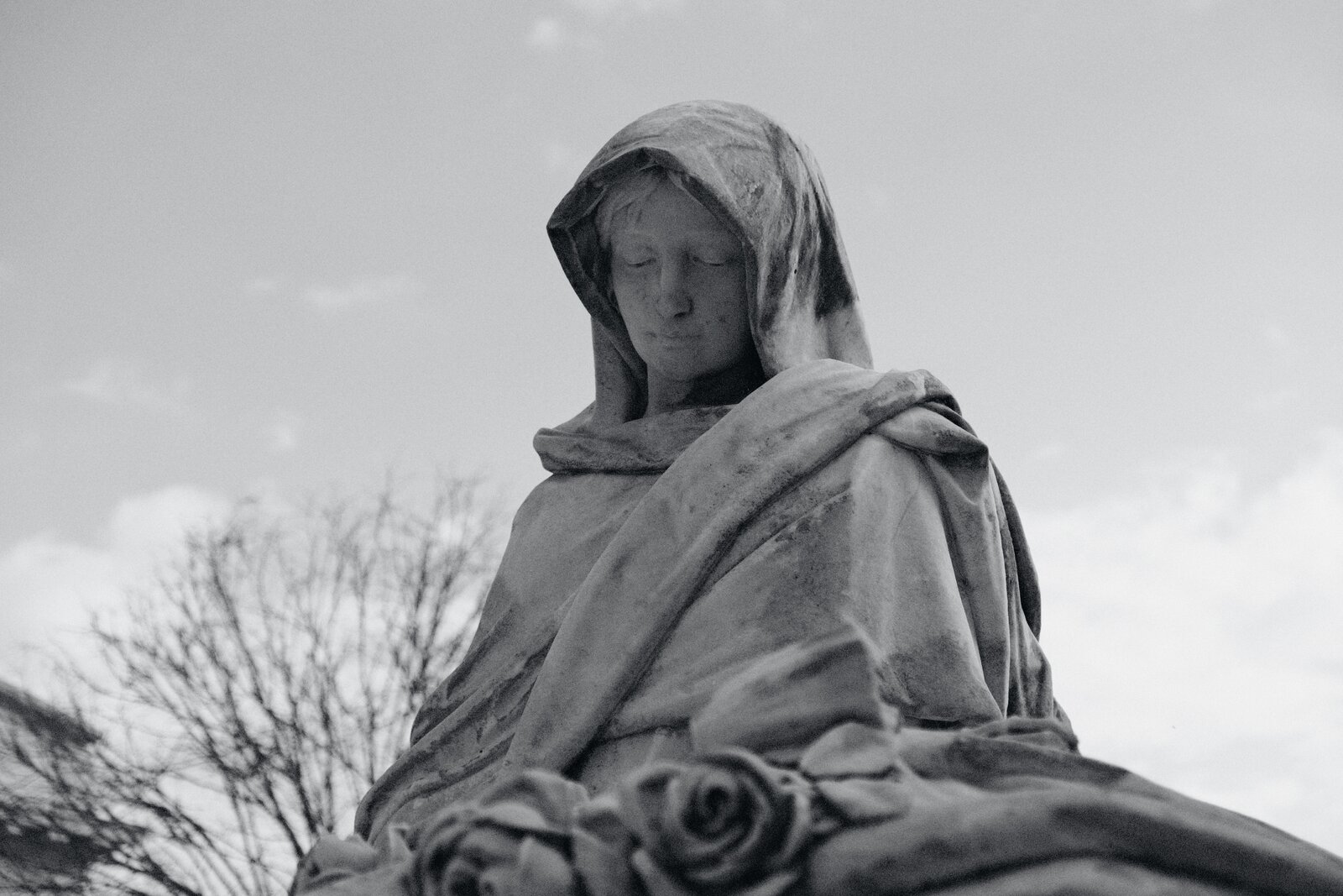 DSCF1811.JPG