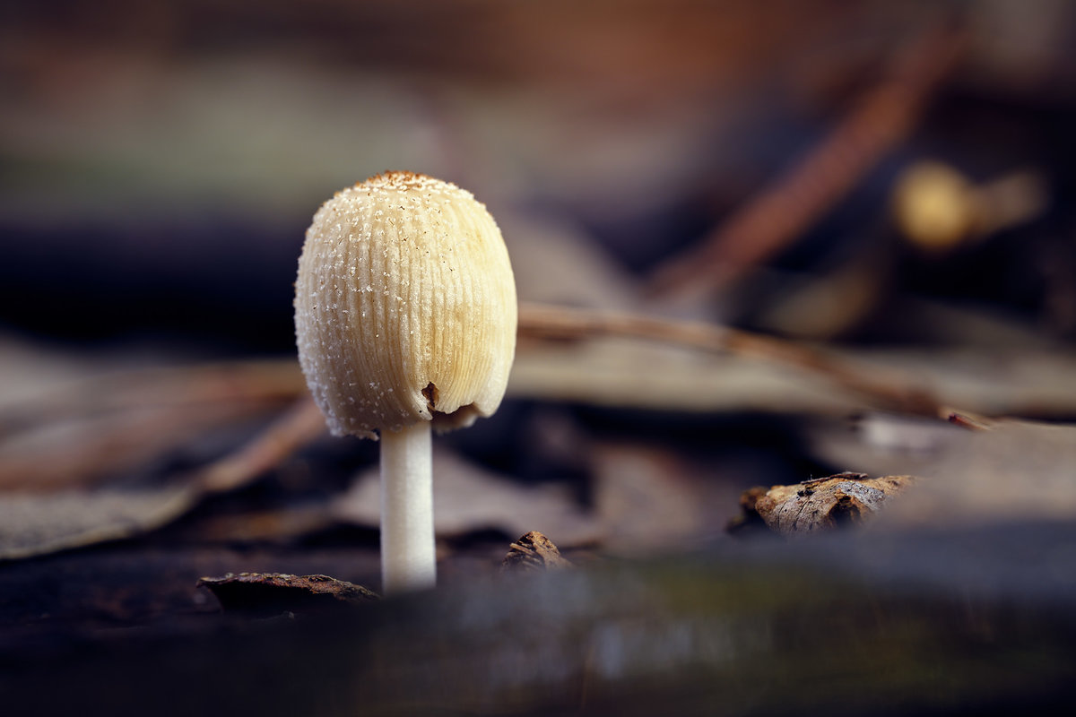 DSCF1891.jpg