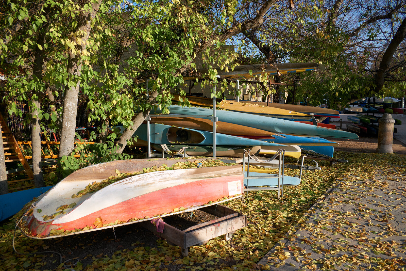 DSCF2053.jpg